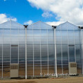 Feuille de carte de carte en polycarbonate agricole transparente